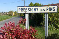 Bourse de Pressigny les Pins 2017