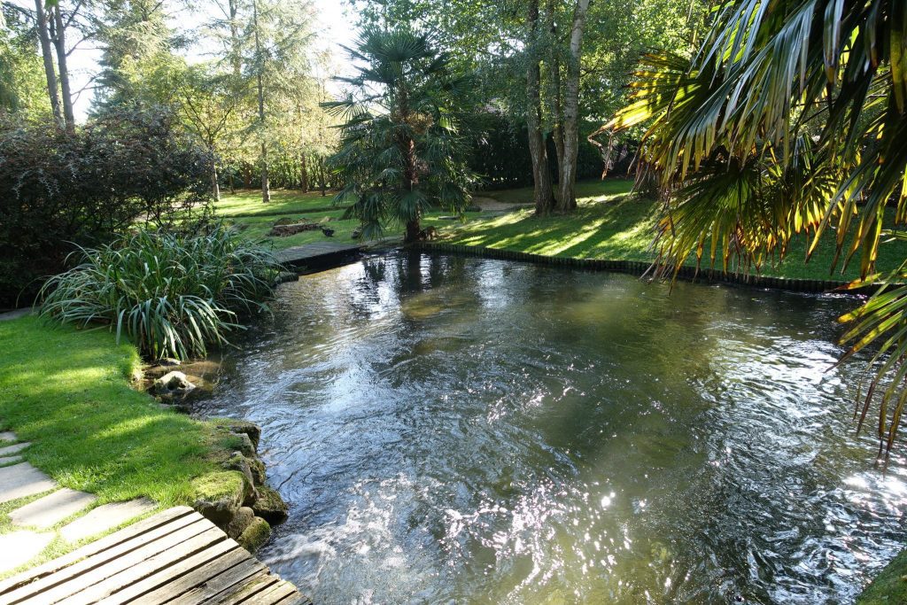 Balade CAMP au moulin de Claude François